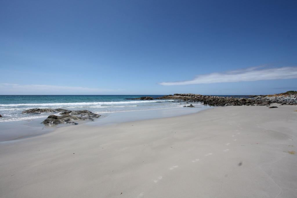 Saltwater - Absolute Oceanfront, Fire Pits, Some Villas With Hot Tubs And Sauna Falmouth Eksteriør bilde