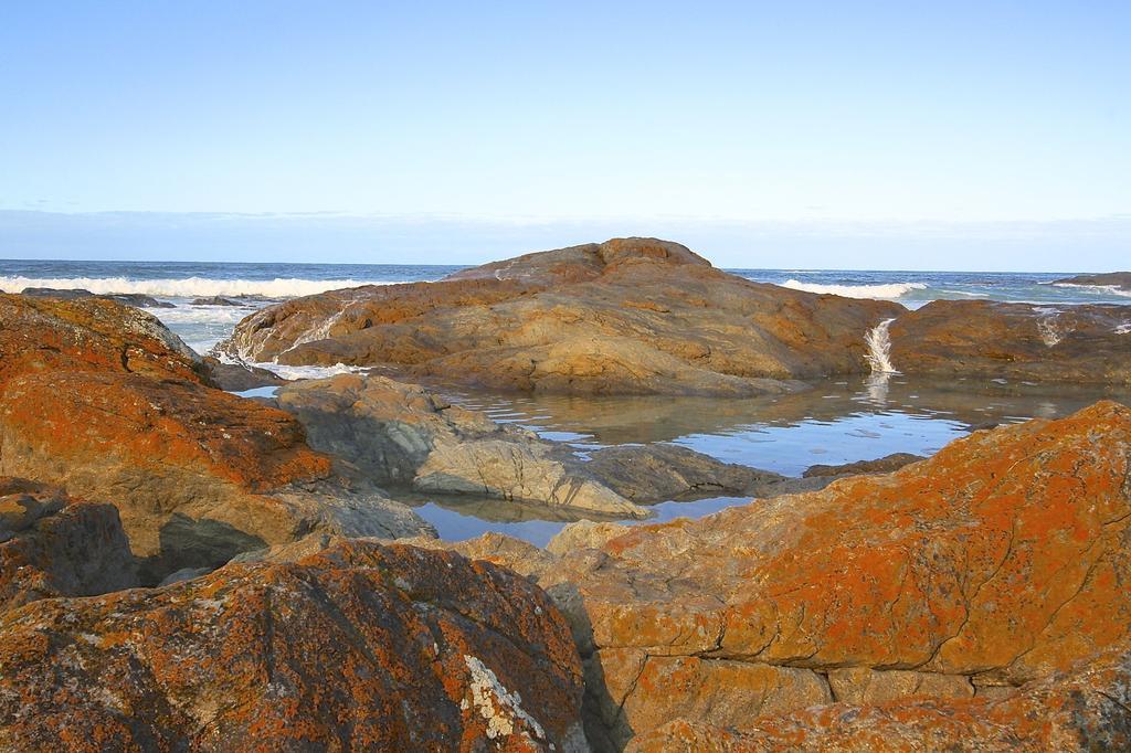 Saltwater - Absolute Oceanfront, Fire Pits, Some Villas With Hot Tubs And Sauna Falmouth Eksteriør bilde