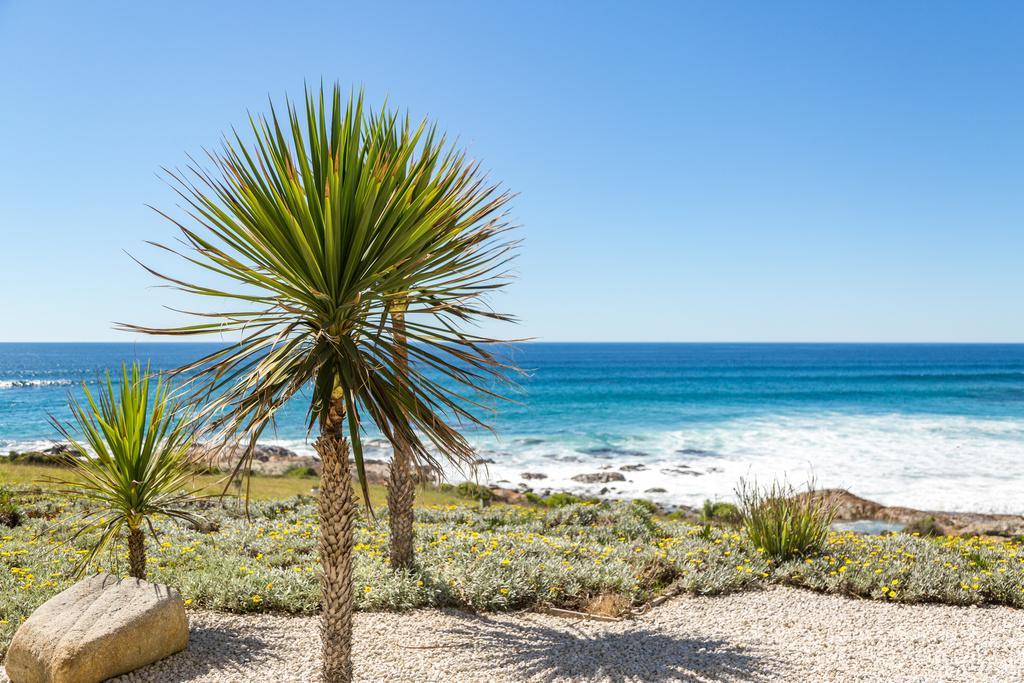 Saltwater - Absolute Oceanfront, Fire Pits, Some Villas With Hot Tubs And Sauna Falmouth Eksteriør bilde